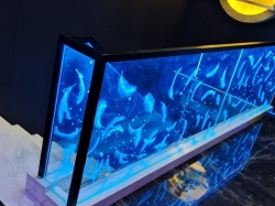 酒吧使用激光内雕导光玻璃装修效果好么？用它打造一个“星空酒吧