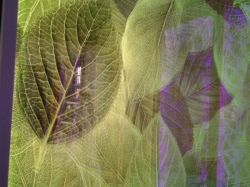 激光内雕玻璃：创意无限的艺术之旅