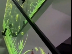 创新之光：内雕发光玻璃点亮餐饮装修