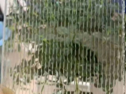 探索雕刻玻璃在现代的多元应用之路